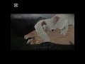 T-Rex and Spinosaurus #vs Indominus Rex and Giganotosaurus part bonus #edit #battle #dinosaur