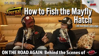 How to Fish the Mayfly Hatch