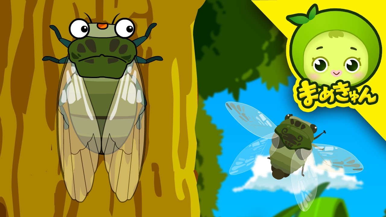 森の合唱団! | 昆虫探検 #15 | セミ | まめきゅん MAMEKYUNN