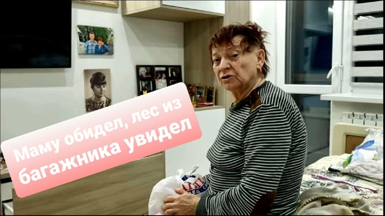 Аршалуйс адамян. Семья адамян ютуб последние. Семья адамян ютуб. Самвел адамян у любы. Семья адамян последнее видео.