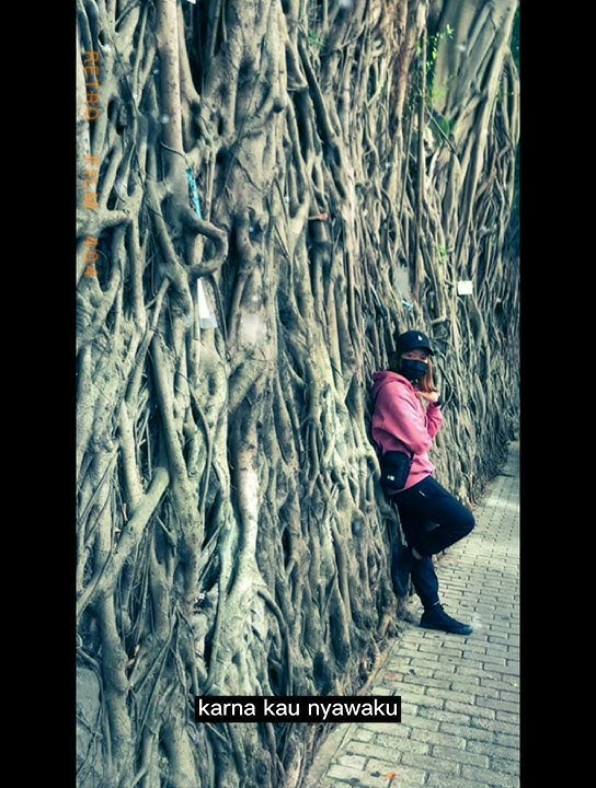 HIJAU DAUN_KAU_NYAWAKU