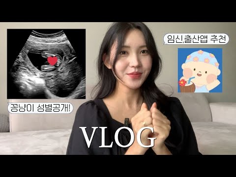 드디어 16주차 성별확인👀ㅣ베이비 빌리 앱 소개,추천📱ㅣ죽암휴게소 임산부혜택ㅣ초음파앨범 언박싱ㅣ청주 맛집