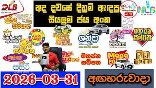 Dlb Nlb Today All Lottery Results 20260331     Dlb Nlb