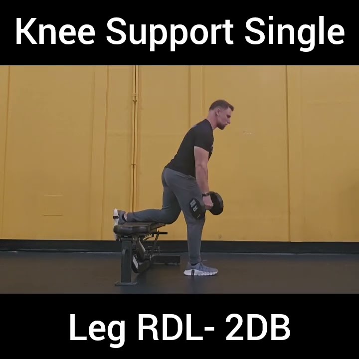 Knee Support Single Leg RDL- 2DB - YouTube