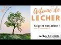 Booster vos plantes et arbres avec lantenne de lecher edd