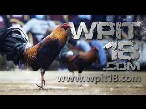 Wpit18 ! wpit18 login ! wpit18 login - Watch Here ! Pnp coda login