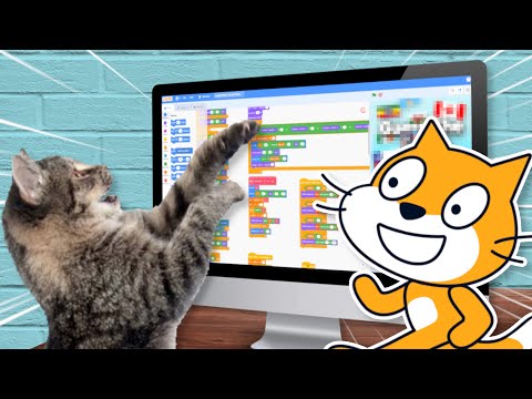 I Taught my Cat How to Use SCRATCH!