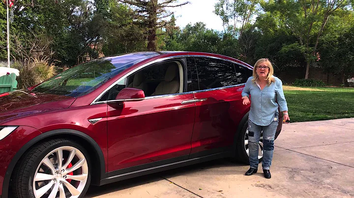 TESLA Model X Falcon Doors