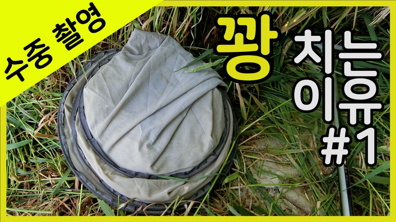 왜 입질이 없을까? - 꽝 치는 이유 1편 (붕어낚시 수중촬영)