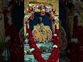 🚩♥️Jay Shri Shyam ♥️🚩