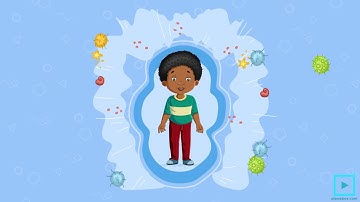 2d Character Animation Video | Health Video by Alpasbox | Liver Function & Importance in Human Body