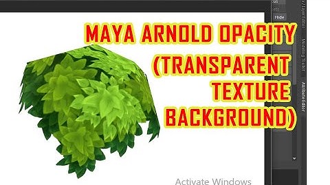 Maya Arnold Opacity transparent texture background