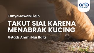 Takut Sial Karena Menabrak Kucing | Ustadz Ammi Nur Baits, S.T., B.A