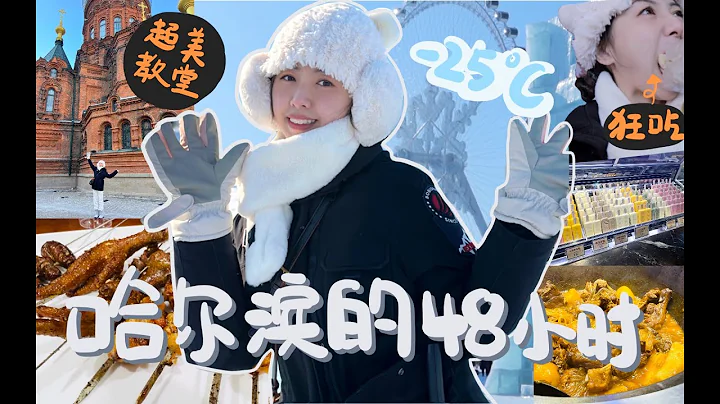 [VLOG]-25°C的童話世界哈爾濱❤狂掃菜市場美食+南方人第一次見雪超興奮！ - 天天要聞