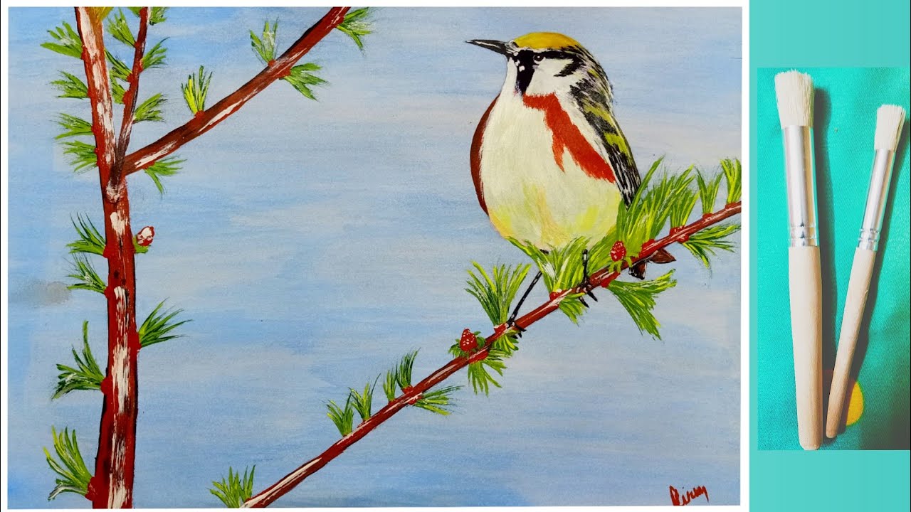 Easy Bird Acrylic Painting For Beginners Step By Step YouTube