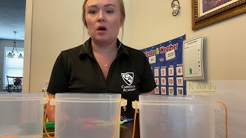 Bug Sorting with Tweezers