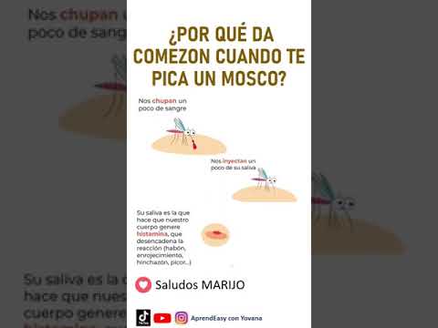 #shorts. ¿POR QUÉ DA COMEZÓN CUANDO TE PICA UN MOSCO?