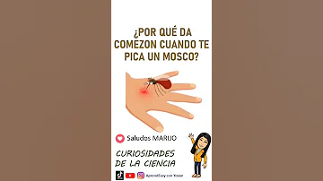 ¿Cuántas veces te picará un mosquito?