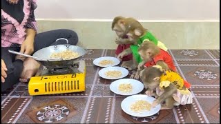 4 Siblings Sit Very Mannerly Waiting To Feed Them Popcorn For Their Dessert Treat, So Yummy!!