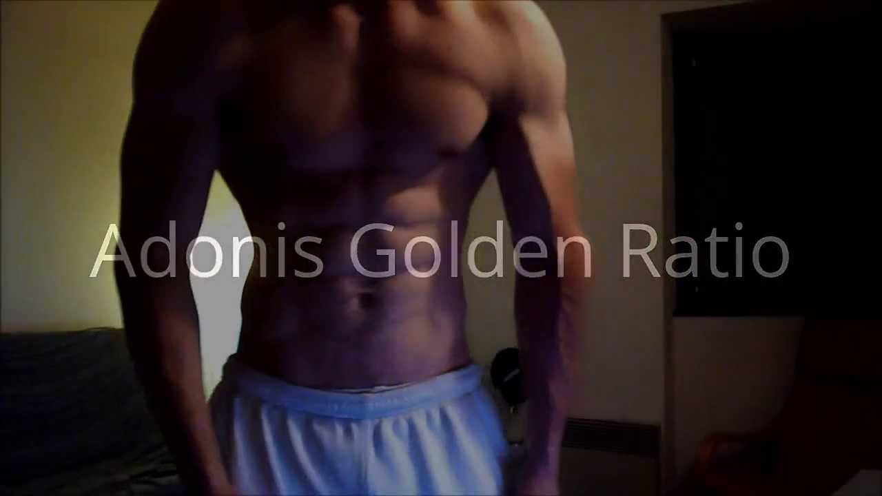 Adonis Golden Ratio Free Download Updated