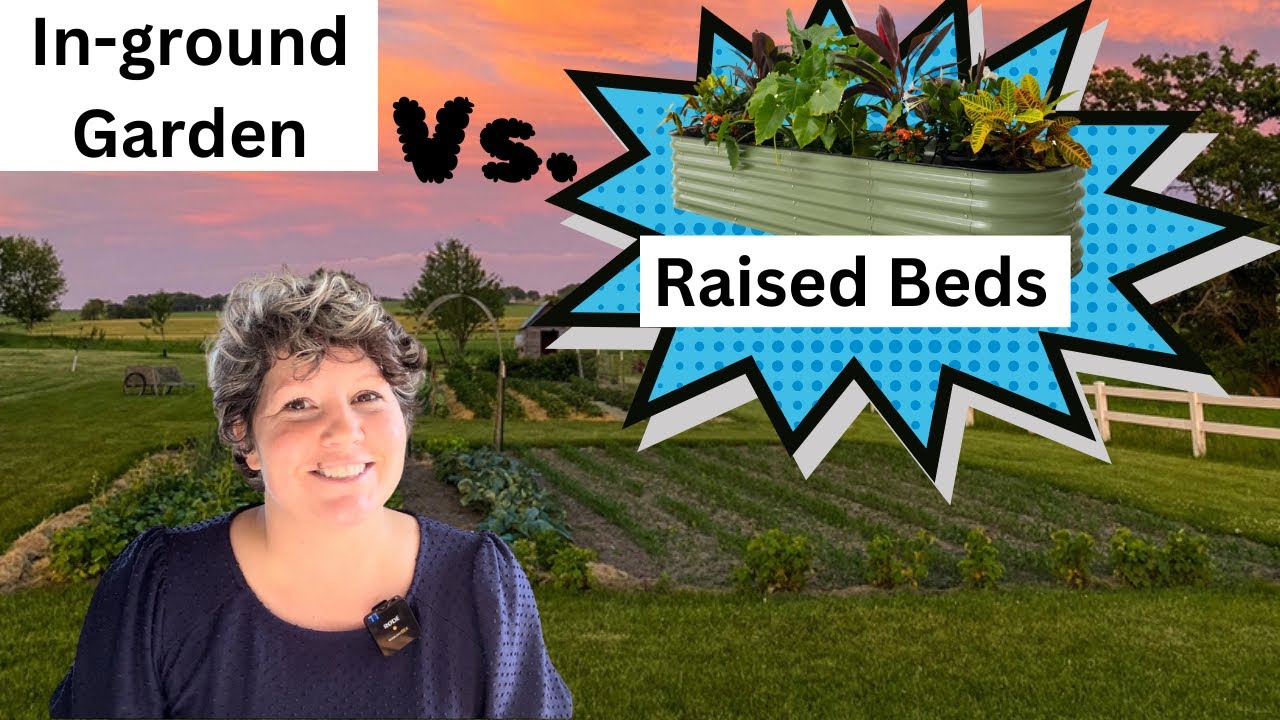 Raised Bed Vs. Inground Gardens, Unpacking the Pros and Cons! YouTube
