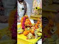 रूद्राभिषेक2026 #devotional #mantrameditation #bhakti #spiritual #motivation #mantrachanting #yt