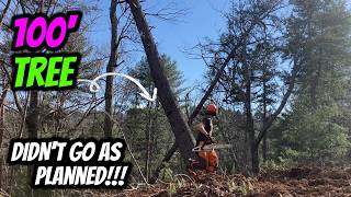 Celebrity Cutting a BIG 100' Tree didn't go as planned! Profile