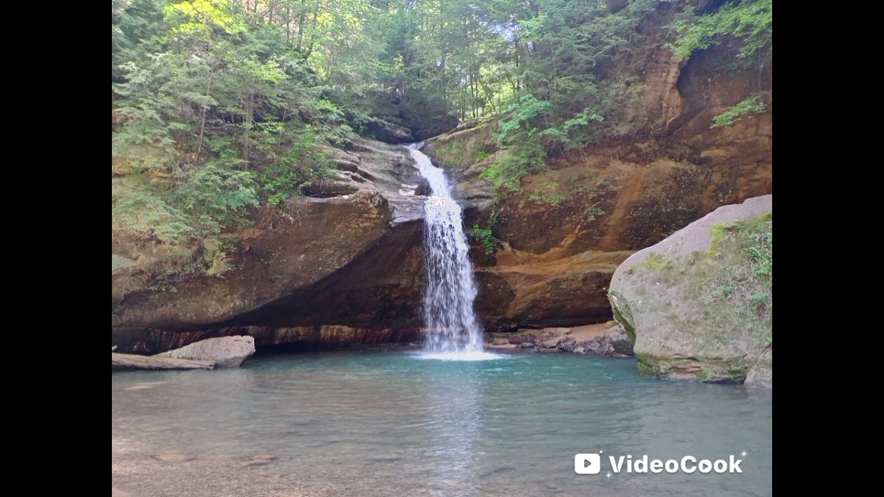 Father, Forgive Them (Written by Diana S. Thompson)