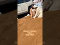 Sand Boarding Adventure in Dubai Desert ποΈ