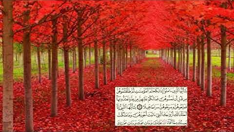 424 -page سعد الغامدي - -سورة الأحزاب AL-AHZAB / LES COALISÉS-33