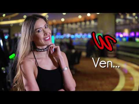 White Wizard™ - Vegas Paradise Casino