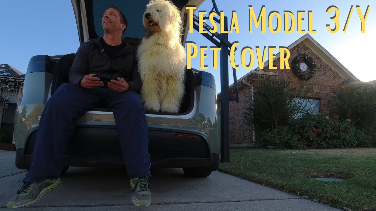Dogproofing my Tesla Model Y with this Rear Seat Cover by AOSK!! YouTube