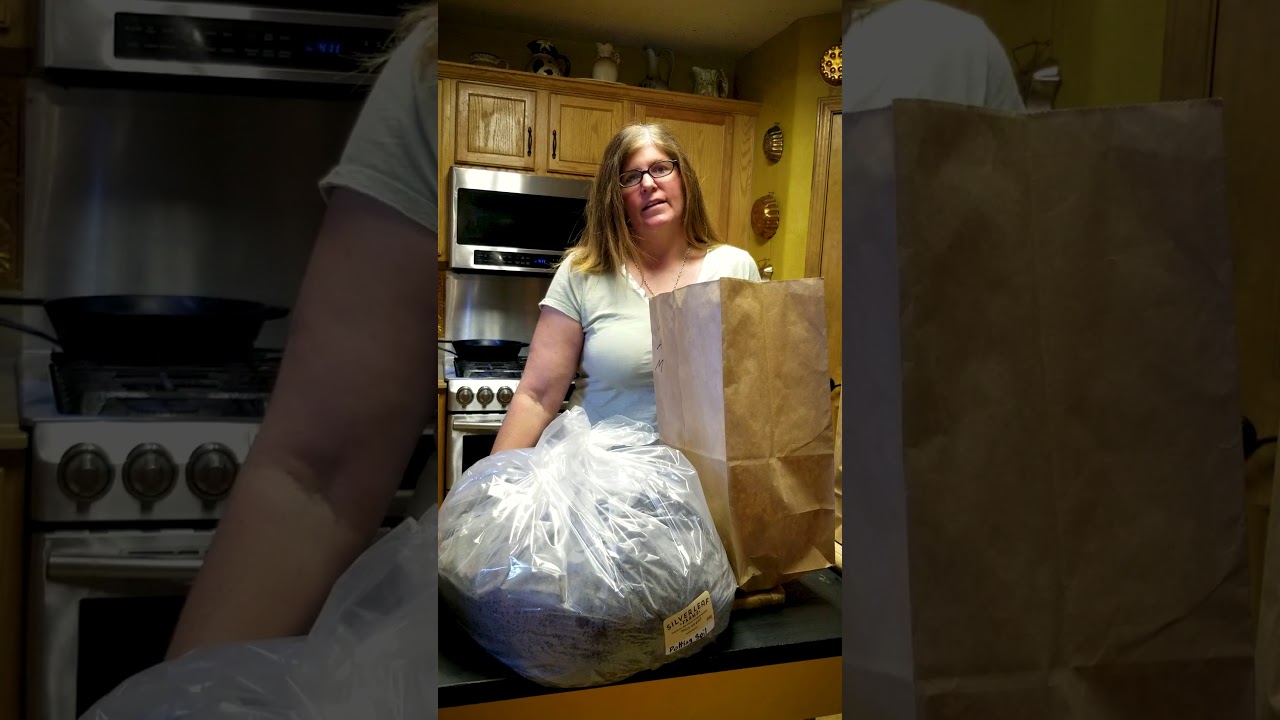 5MinFriday Eps05 v01