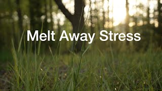 Sonic Solace: Melodies to Melt Away Stress