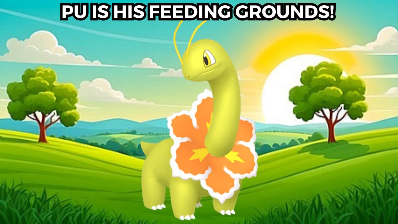 It's Meganiums Time in the Spotlight