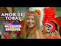 AMOR DE TOBAS - MIXTURA ANDINA (VIDEO OFICIAL 4K)