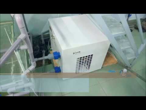 Video: Máy làm lạnh nước giá bao nhiêu?
