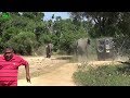 Angry Baby and Mother elephant chases after a wildlife Medic team. Funny chase by the baby