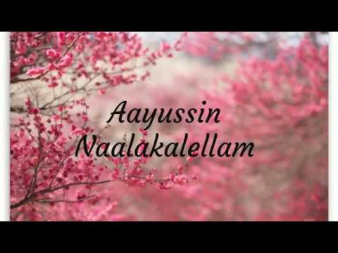 Malayalam christian remix song by 7 trumpets Ethra nalla sakhi yeshu