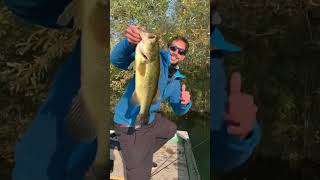 Have You Ever Tried this BASS FISHING RIG? #bassfishing #texasrig #swimbait #fishingtips