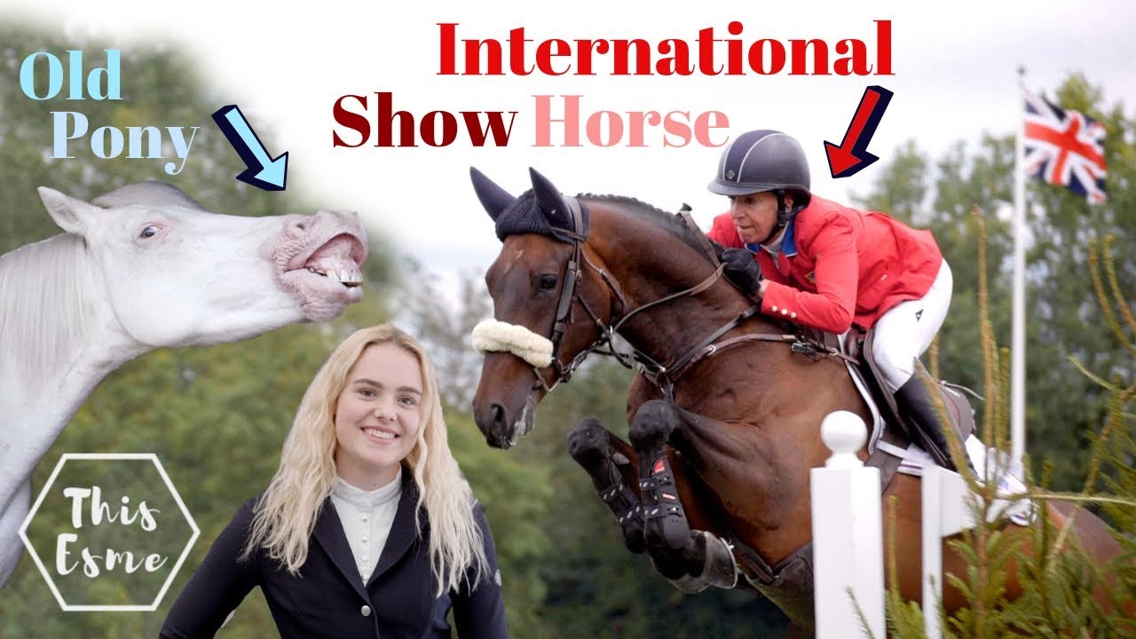 OLD Pony goes to International Horse SHOW for the FIRST Time | This Esme