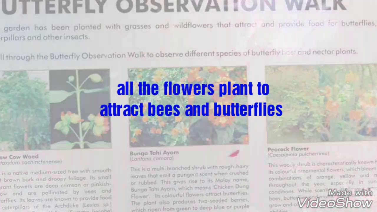 Fusionopolis North park. Singapore