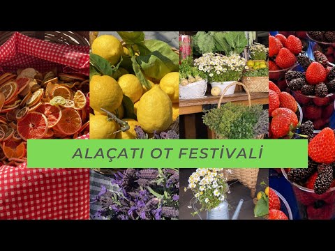 ALAÇATI OT FESTİVALİ 2022 / HERŞEY DOĞAL VE EL EMEĞİ / CIVIL CIVIL BİR FESTİVAL