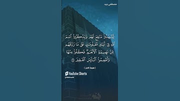 تلاوة عطرة من سورة الحج للقارئ مصطفى جيد