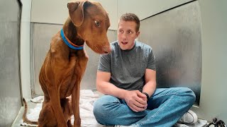 Watch his reaction when he’s told he’s a GOOD BOY for the first time by Rocky Kanaka 16,684,224 views 4 months ago 22 minutes