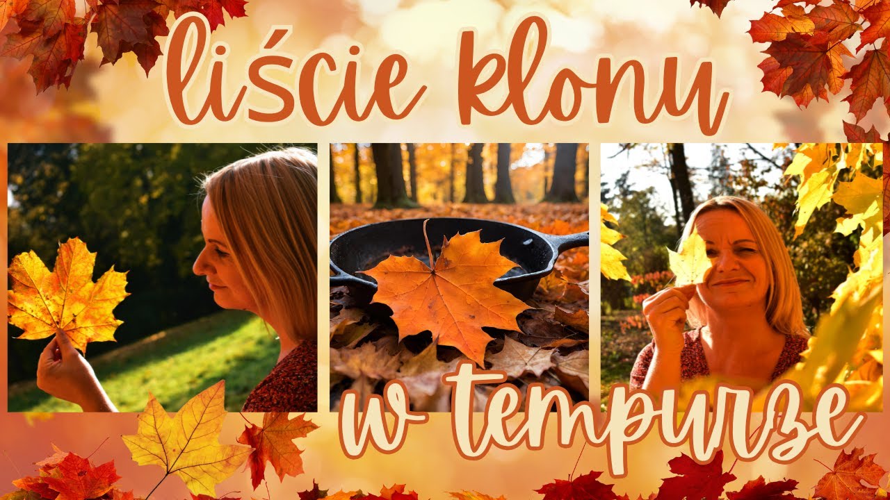 Leśna kuchnia | liście klonu w tempurze  @siegajacszczytow1309