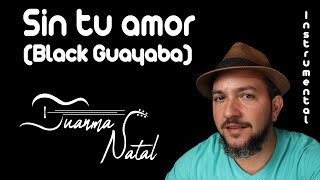 Sin tu amor (Black Guayaba) INSTRUMENTAL - Juanma Natal - Guitar - Cover - Lyrics