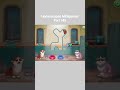 Homescapes Pull the Pin Solution Part 145 Gameplay 