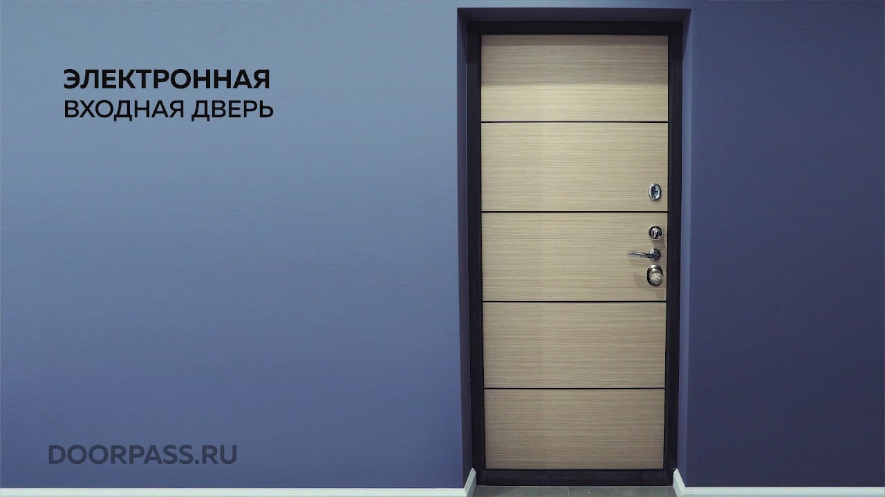 Электронная входная дверь. Smart electronic door
