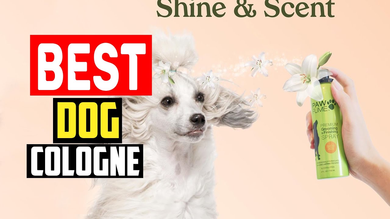 ✅Top 5 Best Dog Cologne That Groomers Use in 2025